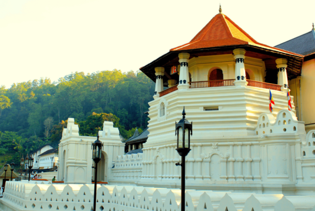 The Classic Island Escape: Hills, Tea & Golden Beaches