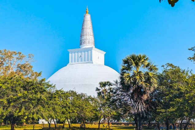 a large white building surrounded by trees on a sunny day