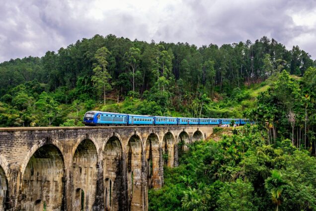 blue train surrounded by trees